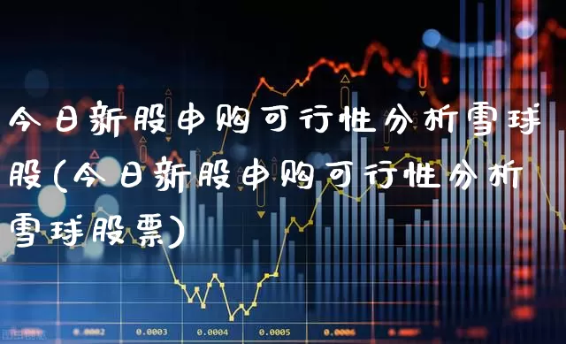 今日新股申购可行性分析雪球股(今日新股申购可行性分析雪球股票)_https://www.wanyuyiyao.com_科创板_第1张