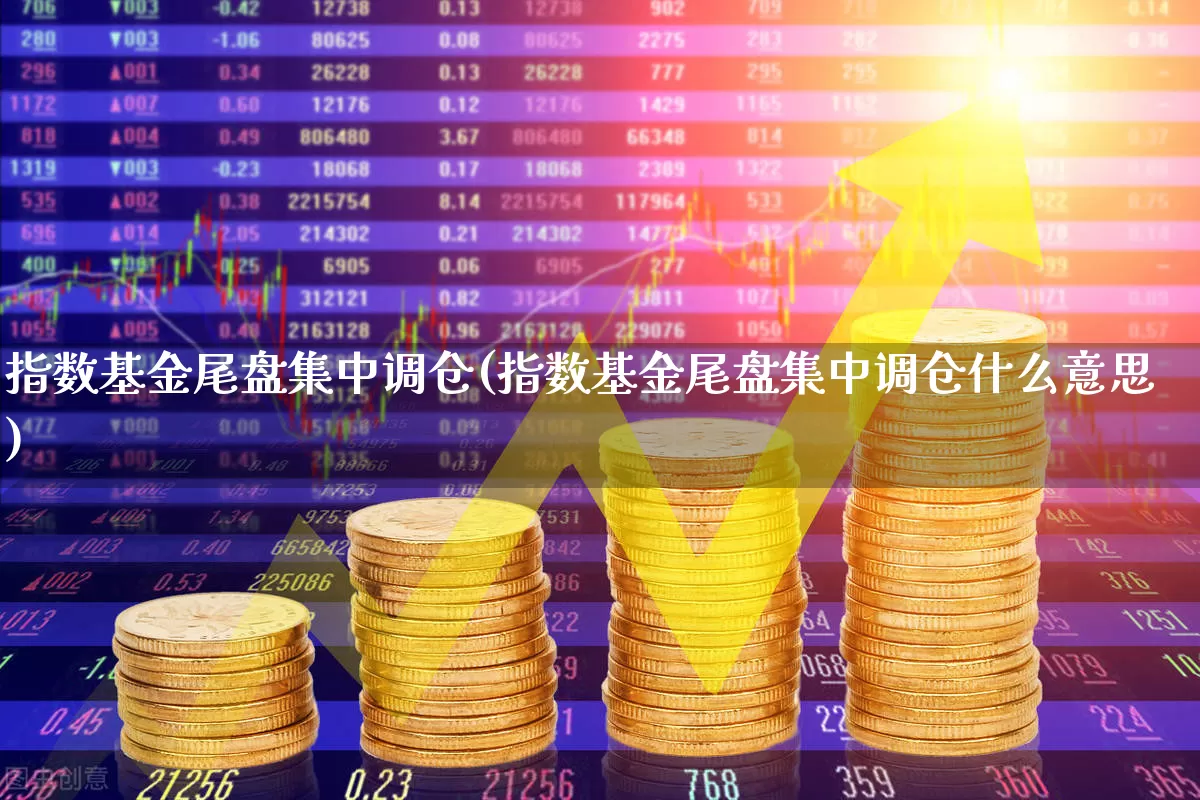 指数基金尾盘集中调仓(指数基金尾盘集中调仓什么意思)_https://www.wanyuyiyao.com_科创板_第1张