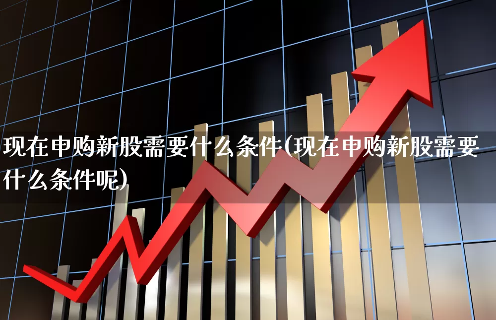 现在申购新股需要什么条件(现在申购新股需要什么条件呢)_https://www.wanyuyiyao.com_北交所_第1张