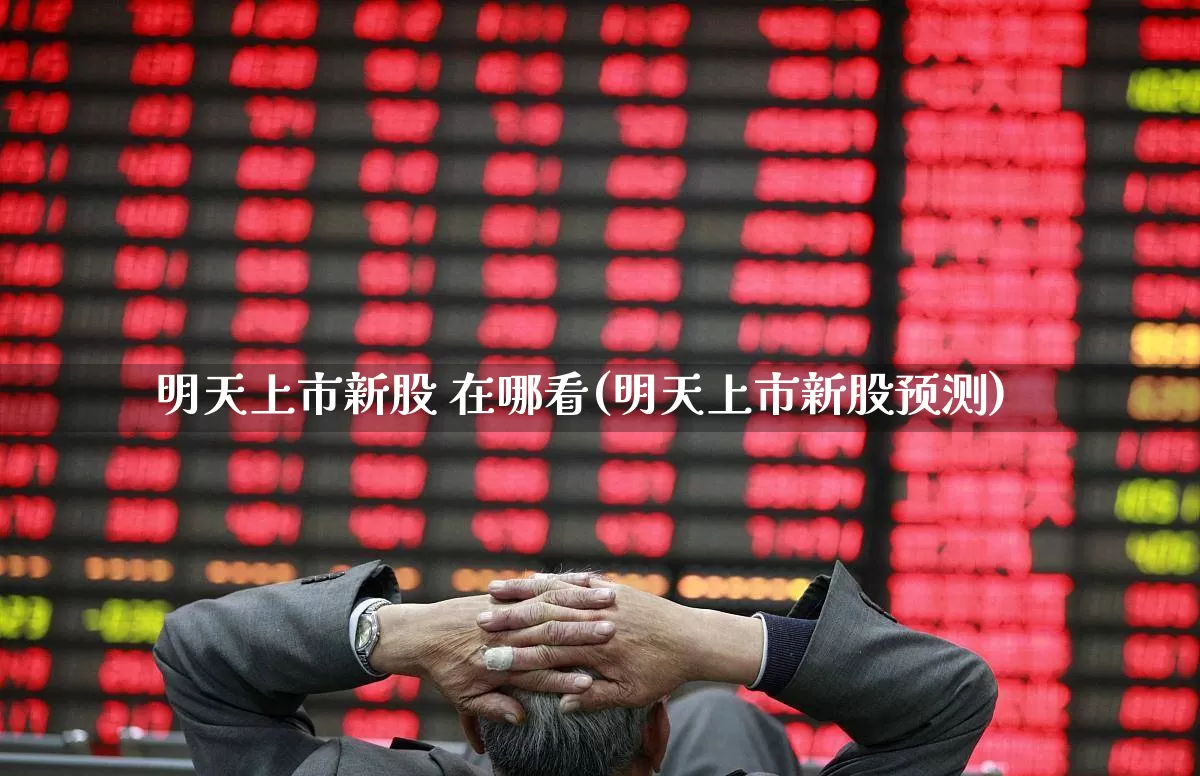 明天上市新股 在哪看(明天上市新股预测)_https://www.wanyuyiyao.com_北交所_第1张