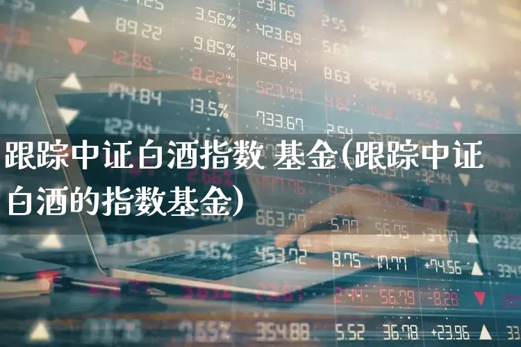 跟踪中证白酒指数 基金(跟踪中证白酒的指数基金)_https://www.wanyuyiyao.com_北交所_第1张