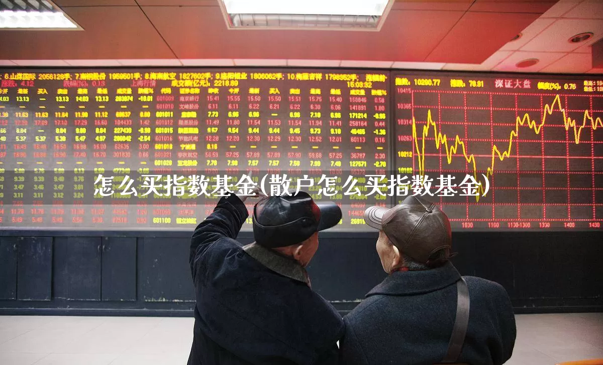 怎么买指数基金(散户怎么买指数基金)_https://www.wanyuyiyao.com_创业板_第1张
