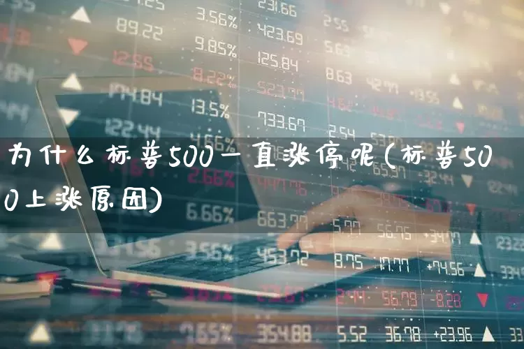 为什么标普500一直涨停呢(标普500上涨原因)_https://www.wanyuyiyao.com_上交所_第1张