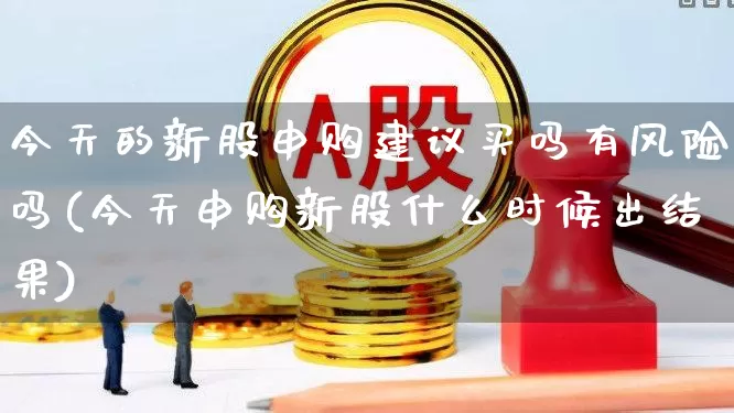 今天的新股申购建议买吗有风险吗(今天申购新股什么时候出结果)_https://www.wanyuyiyao.com_深交所_第1张