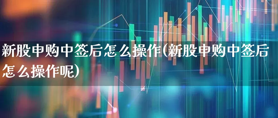 新股申购中签后怎么操作(新股申购中签后怎么操作呢)_https://www.wanyuyiyao.com_创业板_第1张