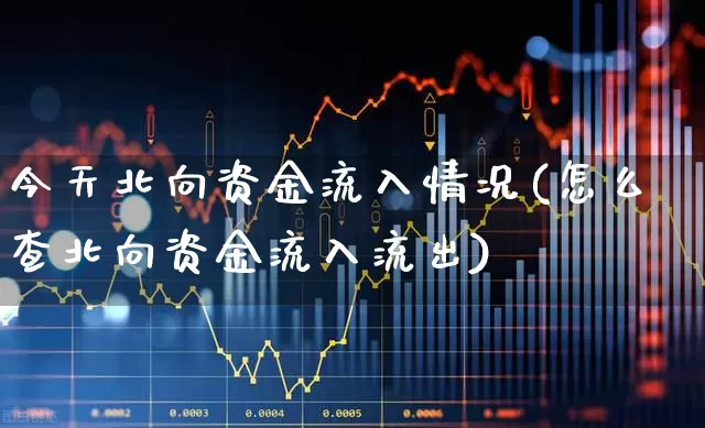 今天北向资金流入情况(怎么查北向资金流入流出)_https://www.wanyuyiyao.com_深交所_第1张