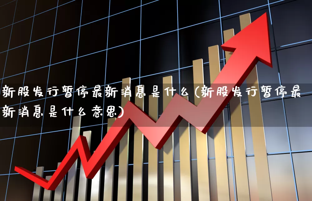 新股发行暂停最新消息是什么(新股发行暂停最新消息是什么意思)_https://www.wanyuyiyao.com_北交所_第1张