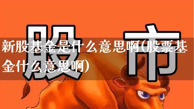 新股基金是什么意思啊(股票基金什么意思啊)_https://www.wanyuyiyao.com_上交所_第1张
