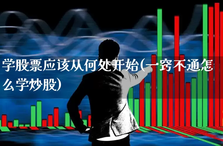 学股票应该从何处开始(一窍不通怎么学炒股)_https://www.wanyuyiyao.com_上交所_第1张