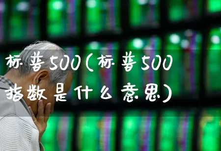 标普500(标普500指数是什么意思)_https://www.wanyuyiyao.com_北交所_第1张
