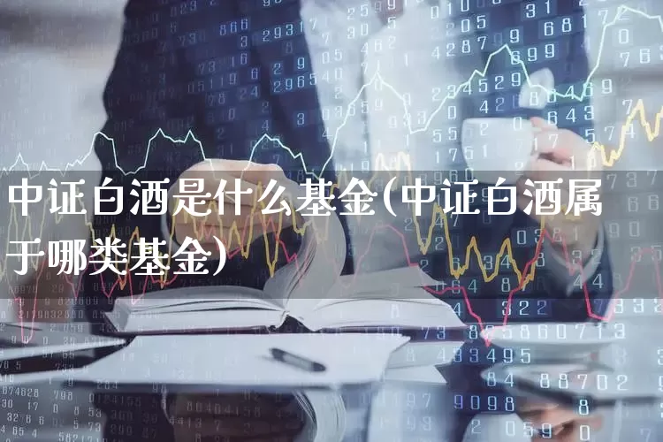 中证白酒是什么基金(中证白酒属于哪类基金)_https://www.wanyuyiyao.com_上交所_第1张