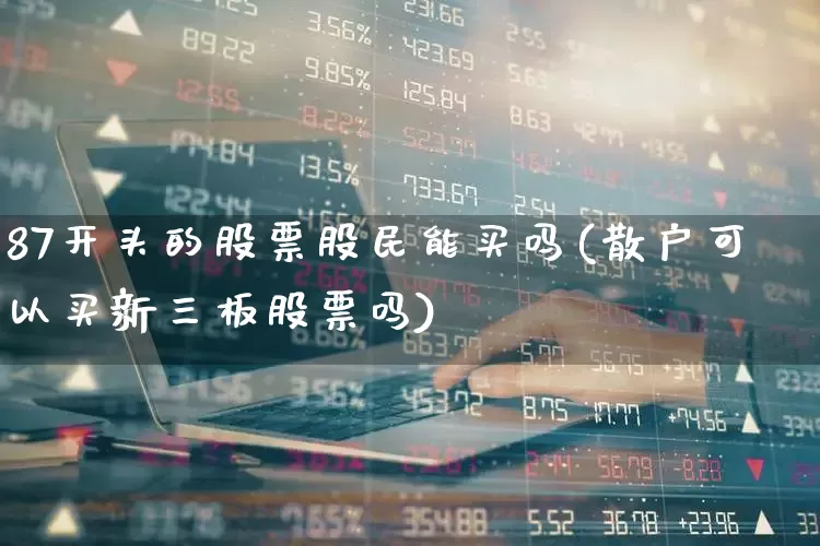87开头的股票股民能买吗(散户可以买新三板股票吗)_https://www.wanyuyiyao.com_科创板_第1张