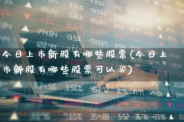今日上市新股有哪些股票(今日上市新股有哪些股票可以买)_https://www.wanyuyiyao.com_深交所_第1张