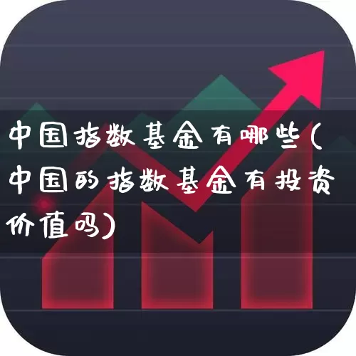 中国指数基金有哪些(中国的指数基金有投资价值吗)_https://www.wanyuyiyao.com_上交所_第1张