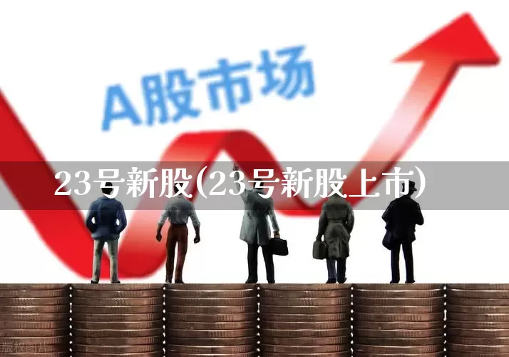 23号新股(23号新股上市)_https://www.wanyuyiyao.com_北交所_第1张
