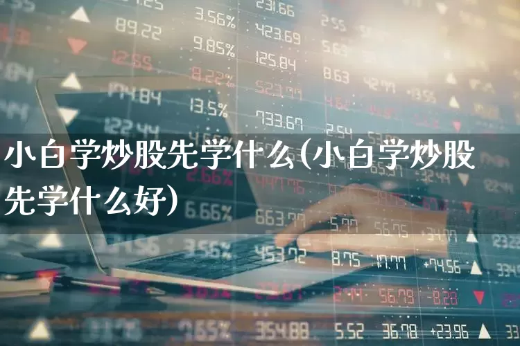 小白学炒股先学什么(小白学炒股先学什么好)_https://www.wanyuyiyao.com_创业板_第1张