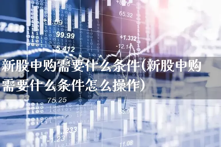 新股申购需要什么条件(新股申购需要什么条件怎么操作)_https://www.wanyuyiyao.com_上交所_第1张