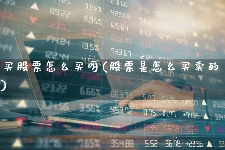 买股票怎么买呀(股票是怎么买卖的)_https://www.wanyuyiyao.com_科创板_第1张