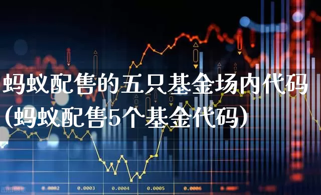 蚂蚁配售的五只基金场内代码(蚂蚁配售5个基金代码)_https://www.wanyuyiyao.com_北交所_第1张