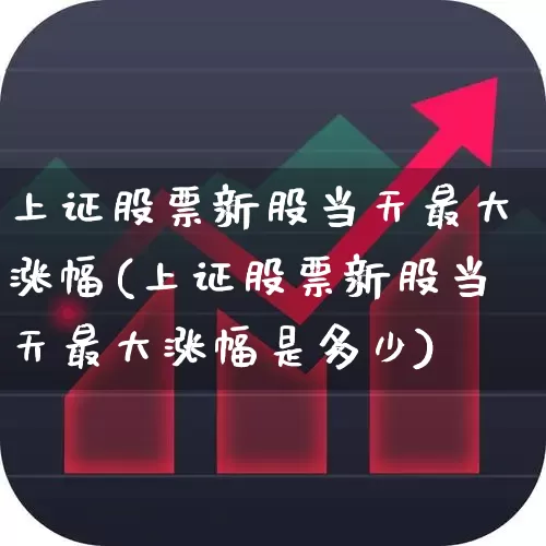 上证股票新股当天最大涨幅(上证股票新股当天最大涨幅是多少)_https://www.wanyuyiyao.com_深交所_第1张
